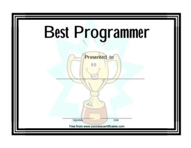 Certificate For The Best Programmer