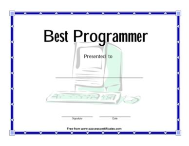 Excellent Programmer Award