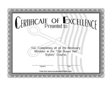 Certificate Of Excellence