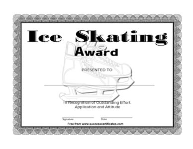 Certificate Of Achievement Of Ice Skating - One