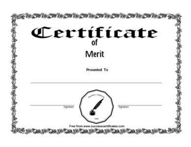 Certificate Of Merit – Three